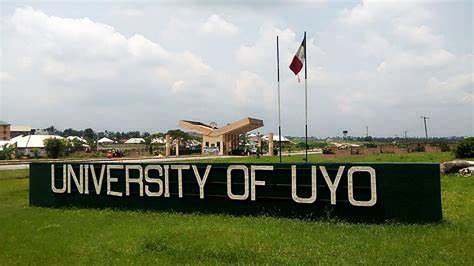 All You Need to Know About Law in UNIUYO in 2025